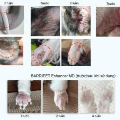 hình ảnh sản phẩm test trên vết nấm và vết thương