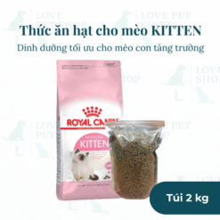 Hạt Kitten Royal Canin dành cho mèo Con
